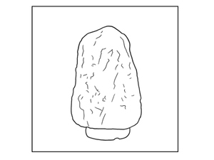 d4