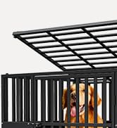 dog crate