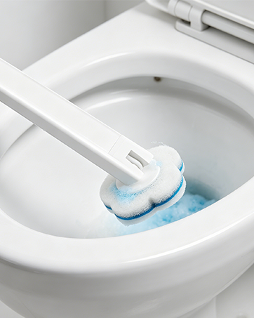 Disposable Toilet Brush