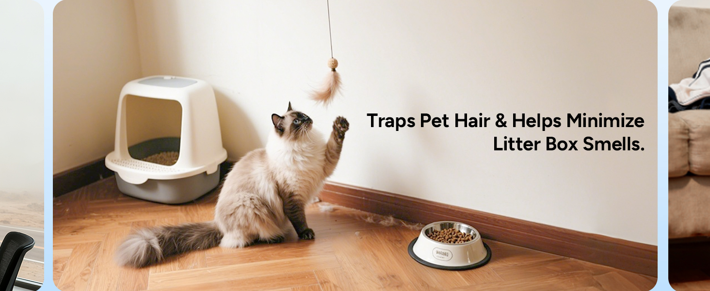 air purifiers for home pets