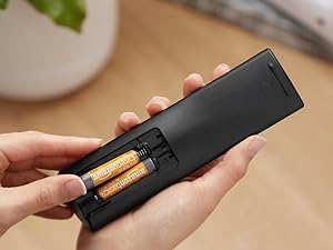 Basics Triple AAA Alkaline Batteries