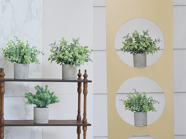 shelf decor