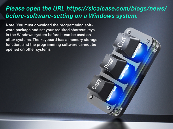 Text reads: 'Please open the URL https://braincase.com/blogs/news/ before software-setting on a Windows system.' Technical interface or setup screen with blue lighting.