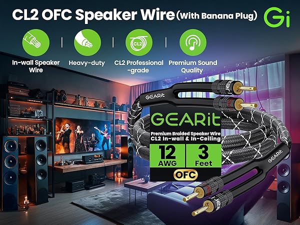 speaker wire with banana plug