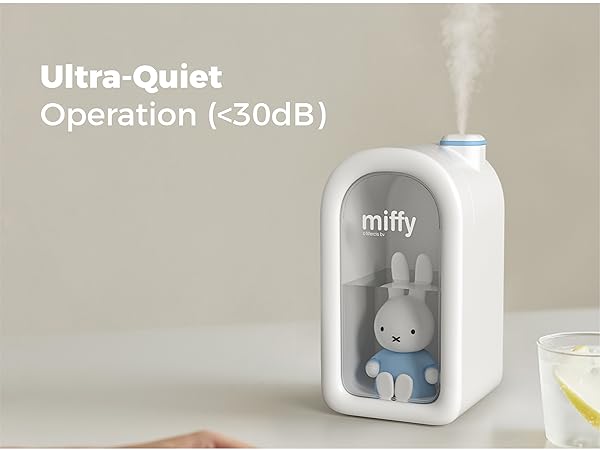 MIFFY Cool Mist Humidifier