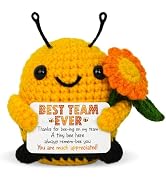 OASSIE Employee Appreciation Gifts for Coworkers - Positive Crochet Bee | Appreciation Gifts, Emo...
