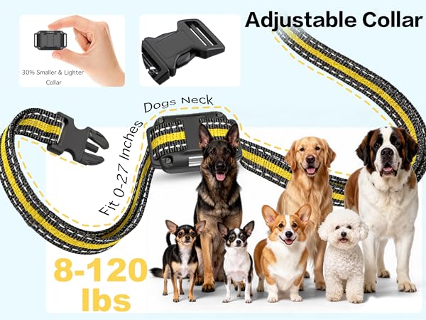 remote dog training collar