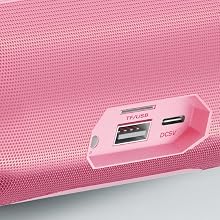 Portable Bluetooth Speaker