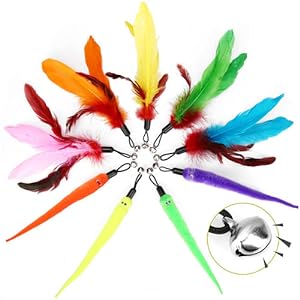 cat toys for indoor cats