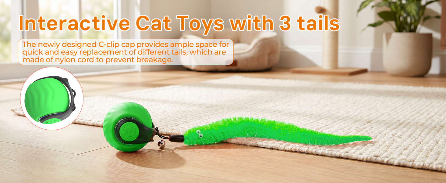 cat entertainment