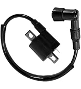 yorpyep Motorcycle Ignition Coil, CG 125 125cc 150cc 200cc 250cc High Voltage Ignition Coil, Plug...