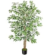 GTIDEA 5ft Ficus Tree Artificial, Tall Fake Tree with Natural Trunk Faux Trees Indoor Silk Ficus ...