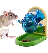 Rat Enrichment Toys, Interactive Foraging Toys For Rats, Intelligence Growth Rat Enrichment Puzzl...