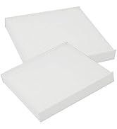 ZUDKSUY Air Filter Replacement X19987001 AF55839 P640110 CAF1815P 48XH41 PA30093 CY08221P C25870 ...