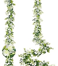 https://m.media-amazon.com/images/S/aplus-media-library-service-media/259362db-722a-4ef1-a3a0-eac2f29e822c.__AC_SR200,225___.jpg