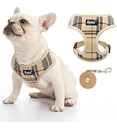 PUPTECK Soft Mesh Dog Harness Pet Puppy Cat Comfort Padded Vest No Pull Harnesses