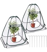 2 Pack Pop Up Greenhouse, Plant Tent with 8 Ground Nails & 2 Carry Bags, Roll-Up Door, Easy Foldi...