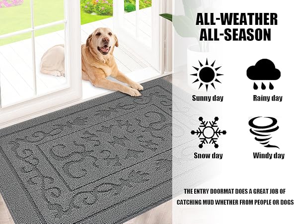 door rug indoor entrance