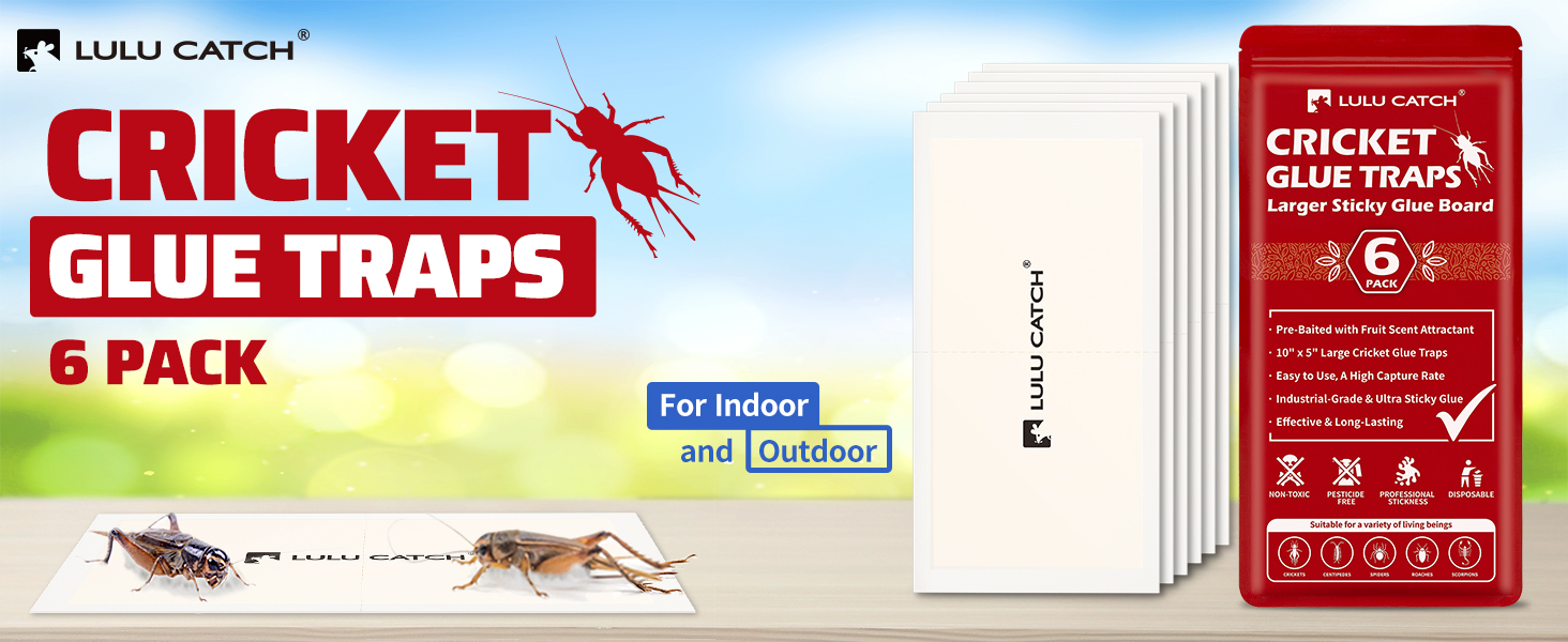 Cricket Traps Indoor