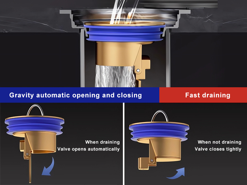 floor drain backflow preventer