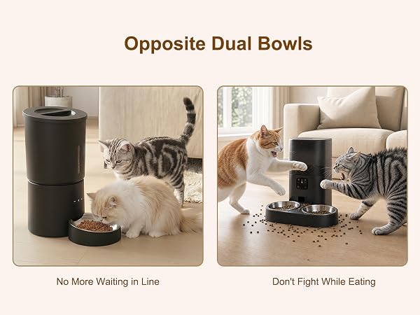 automatic pet feeder