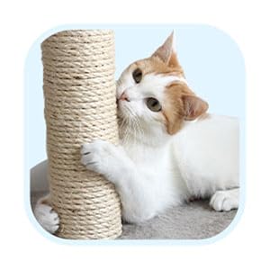 Image of cat scratch.