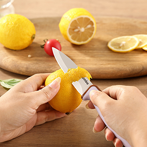 kitchen knife