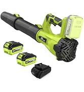 21V Leaf Blower