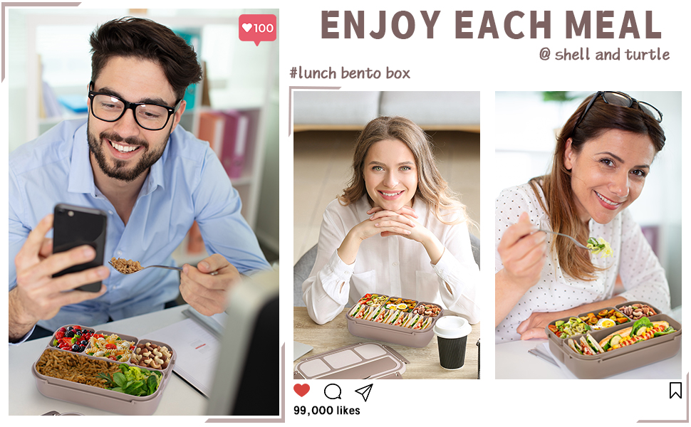 brown bento box 6