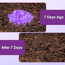 Absorbent Gel Powder