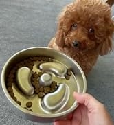 slow feeder dog bowl