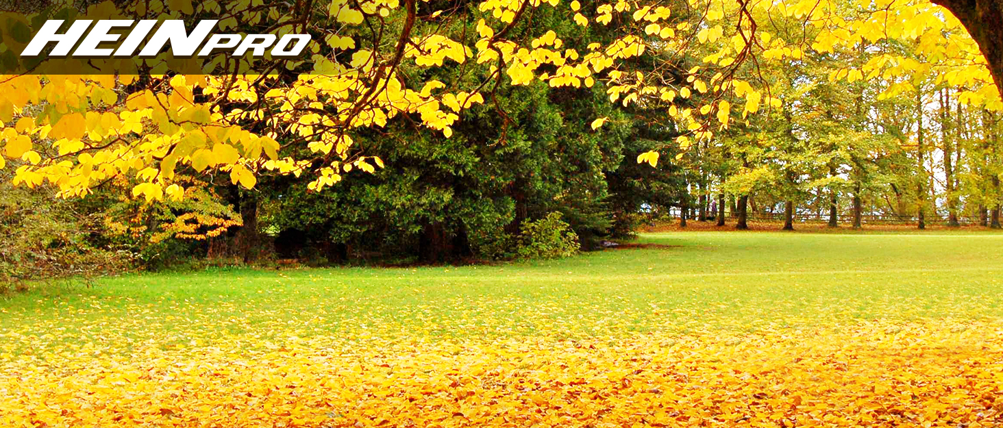 Leaf Blower
