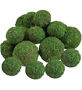 Biubee 18 Pack Decorative Faux Dried Moss Balls- 6pcs 3.1" Artificial Green Plant Mossy Globes+ 1...