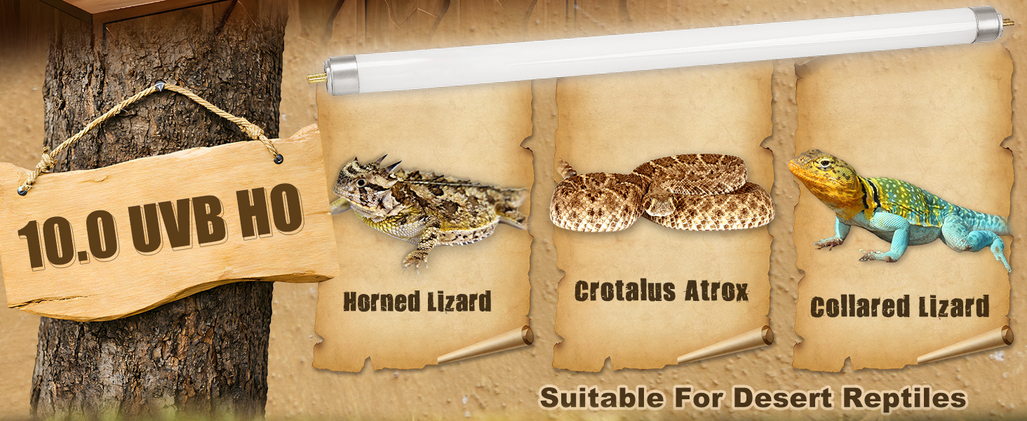 10.0 t5 reptile lamp