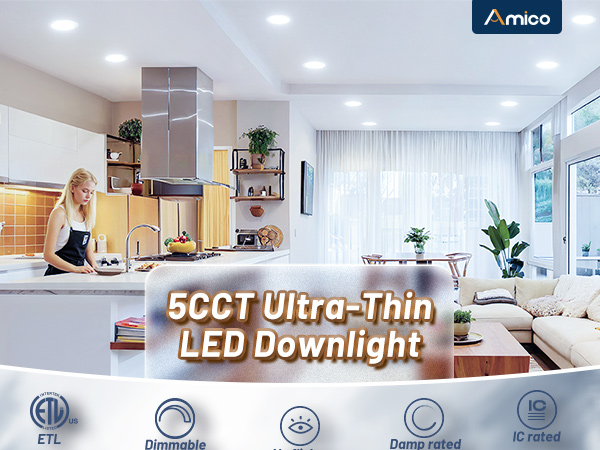 recessed lighting 6 inch
