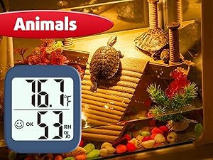 hygrometer for incubator, reptile terrarium, tortoise house