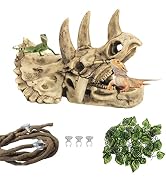 kathson Reptile Resin Dinosaur Skull Decoration Bearded Dragon Tank Triceratops Skeleton Accessor...