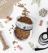 Black striped pet bowl filled with food