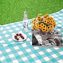 tABLECLITH