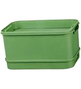 Bothyi Seed Sprouts Tray Sprout Grower Box Saving Space Multifunctional Germination Sets Mini Gre...