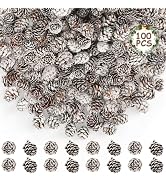 100 Pcs Snow Pine Cones, Mini Pinecones for Craft, Natural Cones Wreath, Christmas Bowl Stuff Win...