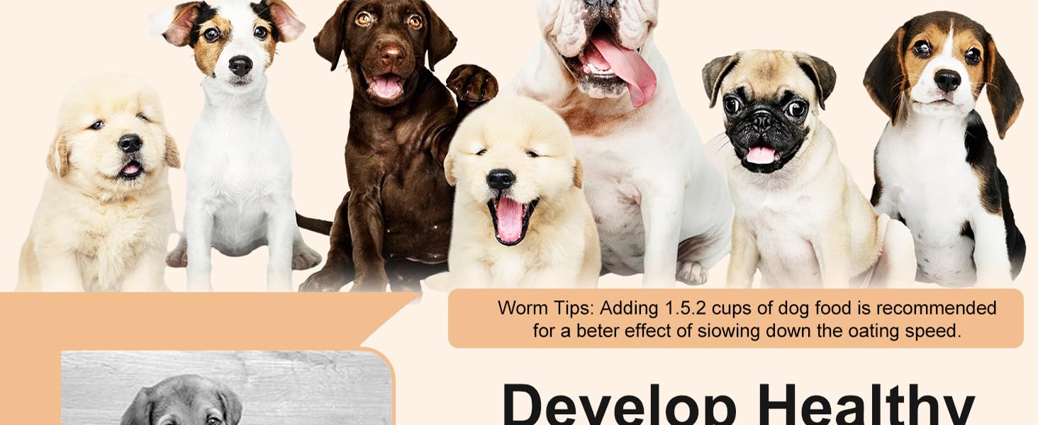 Stainless Steel Slow Feeder Dog Bowls
