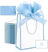 Ethhqu 12 Pack Small Gift Bags with Handles Include Tissue Papers & Cards, 9x7x3.15'' Thank You G...
