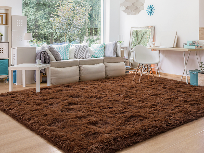 Brown rug