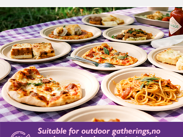 Compostable Paper Plates