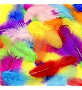 800Pcs Colorful Craft Rooster Feathers 3-5-inch Bulk Feathers for Crafting Kindergarten DIY Craft...