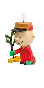 https://m.media-amazon.com/images/S/aplus-media-library-service-media/d2868579-297c-4b5a-9bdf-adf9d6982b6b.__CR0,0,1250,2500_PT0_SX150_V1___.jpg