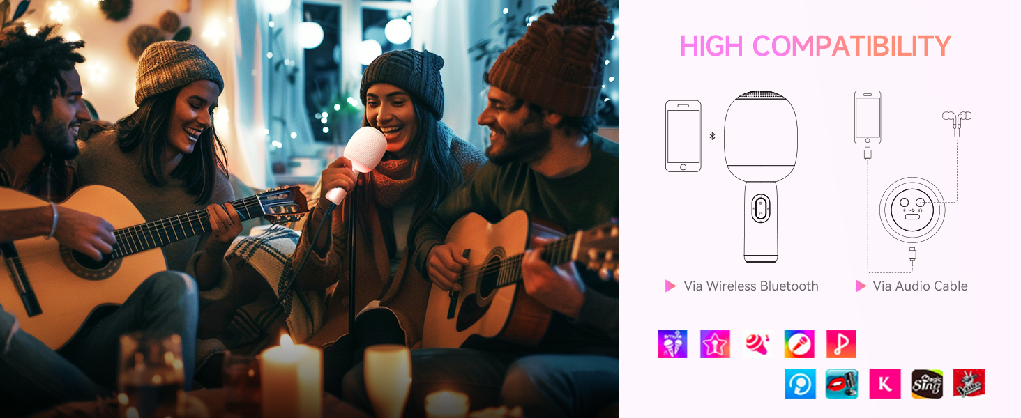 karaoke microphone wireless for car