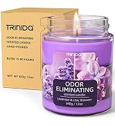Lavender & Lilac Blossom Odor Eliminating Candles for Home Scented 12oz, Eliminates 99% of Pet, S...