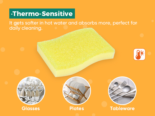 cleaning sponges